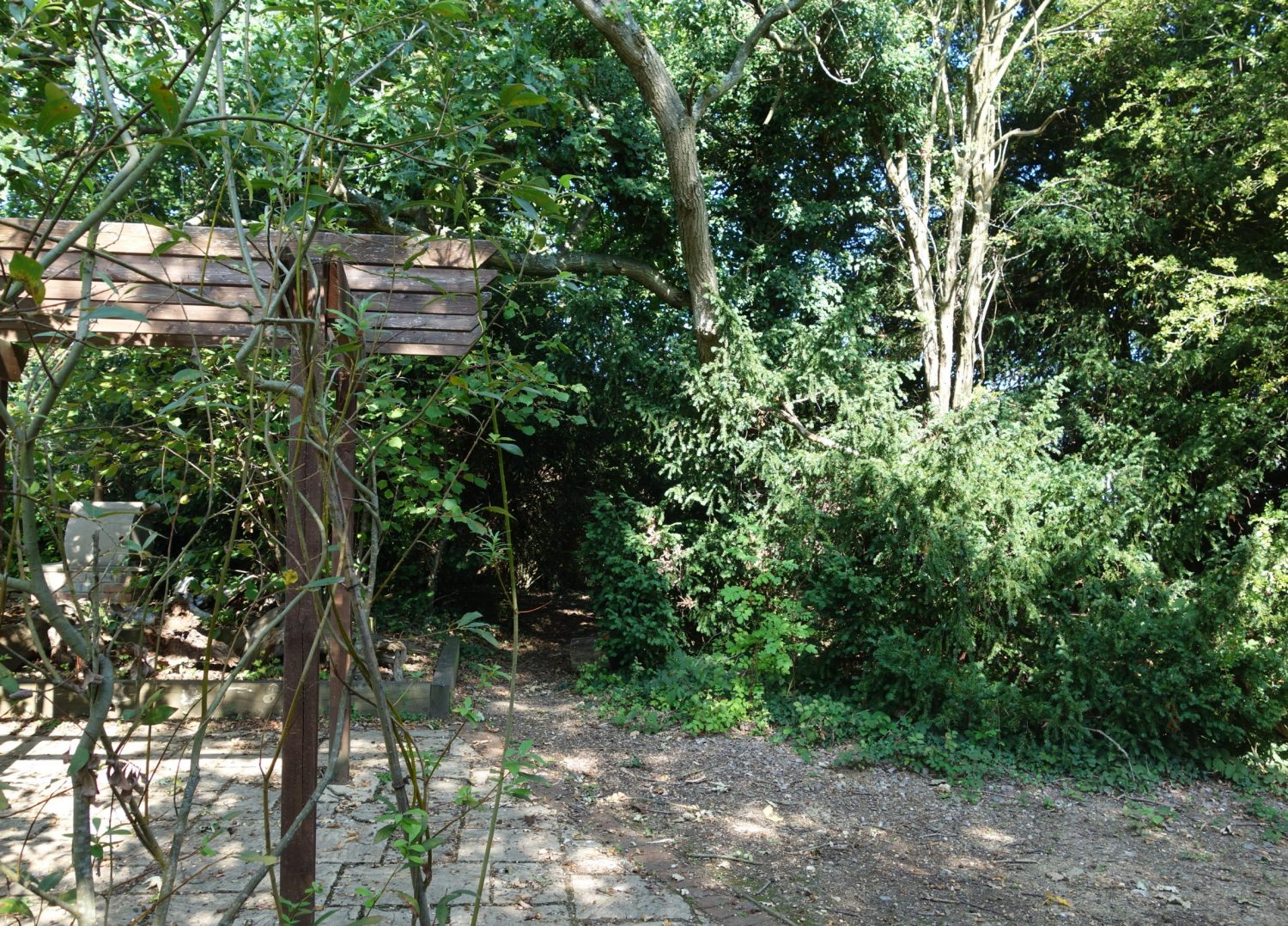 Our Mediterranean garden has a vine covered pergola and a paved area for pizza ovens.