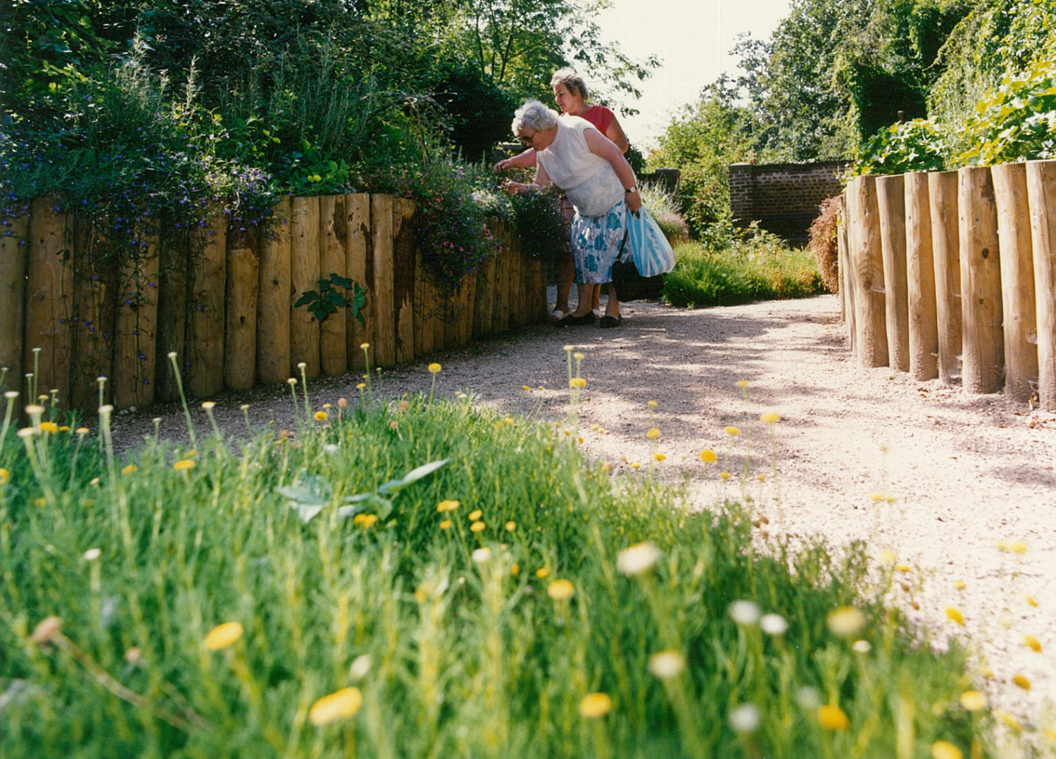 Originally the Garden of Time behind the now allotments has changed a lot since 1990.