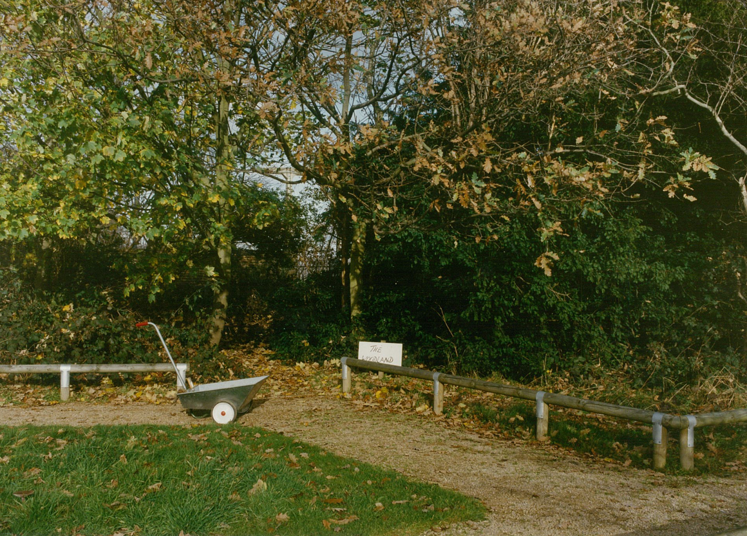 This corner was quite hard to distinguish, but we think its near the mud kitchen and Mediterranean garden.